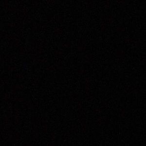 Meet your Posher, Larry